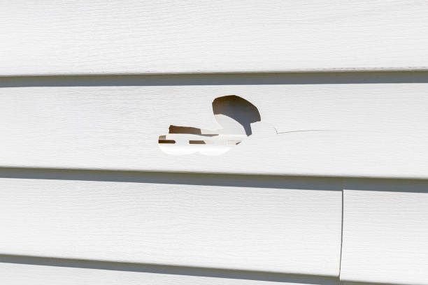 Best Aluminum Siding Installation  in Puyallup, WA